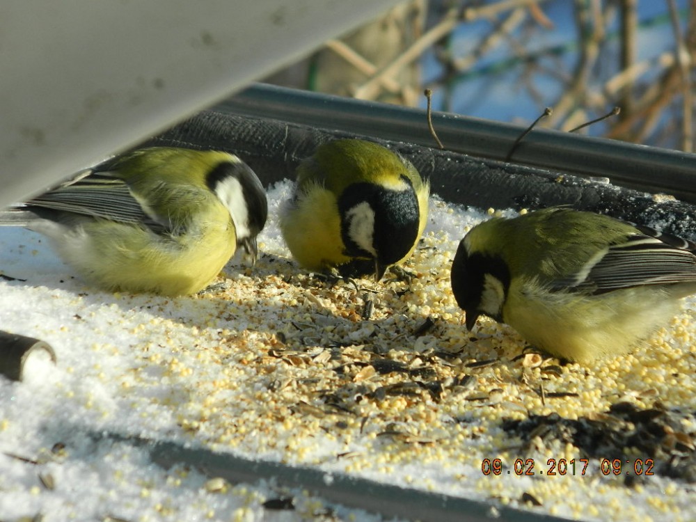 DSCN3852.JPG