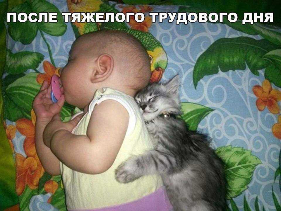 61edaf1ed5c74_.jpg.7e34f54b67ff4315bd048a4b27c3837e.jpg