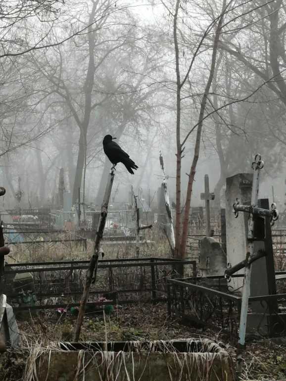 Кладбища, похороны, кремация, отношение к смерти, ритуальные услуги - 2 ...