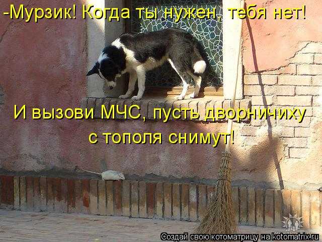 1065232.jpg.7ceddf9400772a83d29086e688b72116.jpg