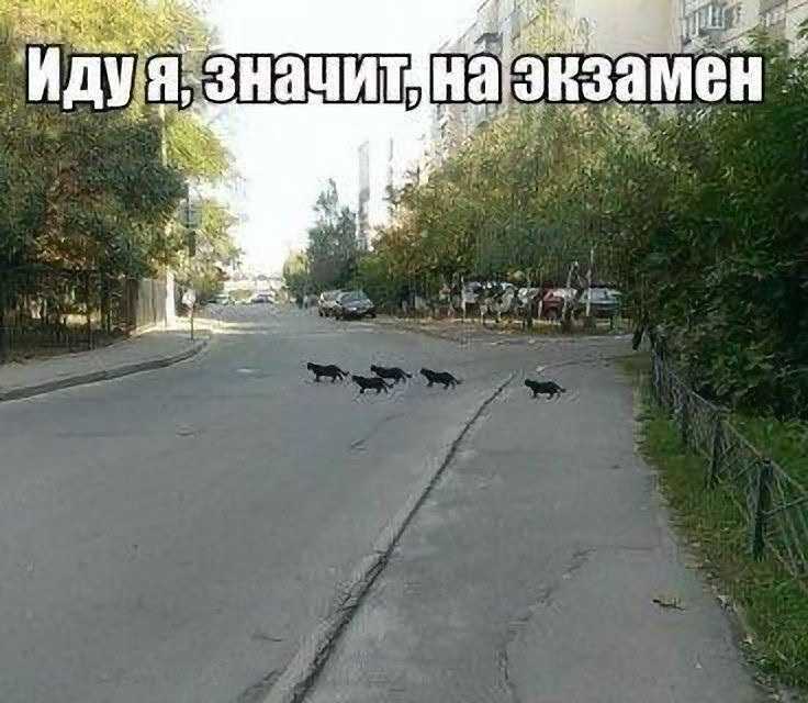 1740533153180411559.jpg.584a65d86341197ebf68b18390900013.jpg