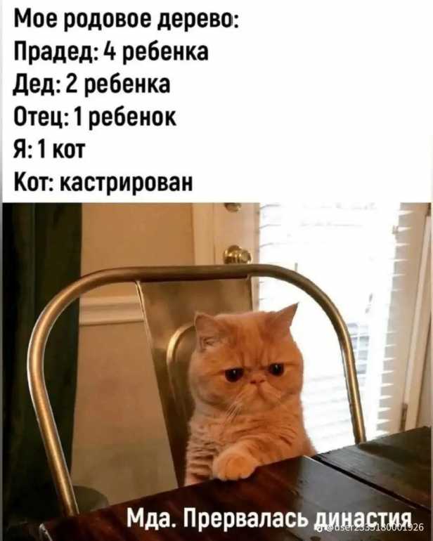 486173641_1289309965467347_2562472041459426577_n.jpg.6293465488a5fc4a7d2338f749d252c4.jpg