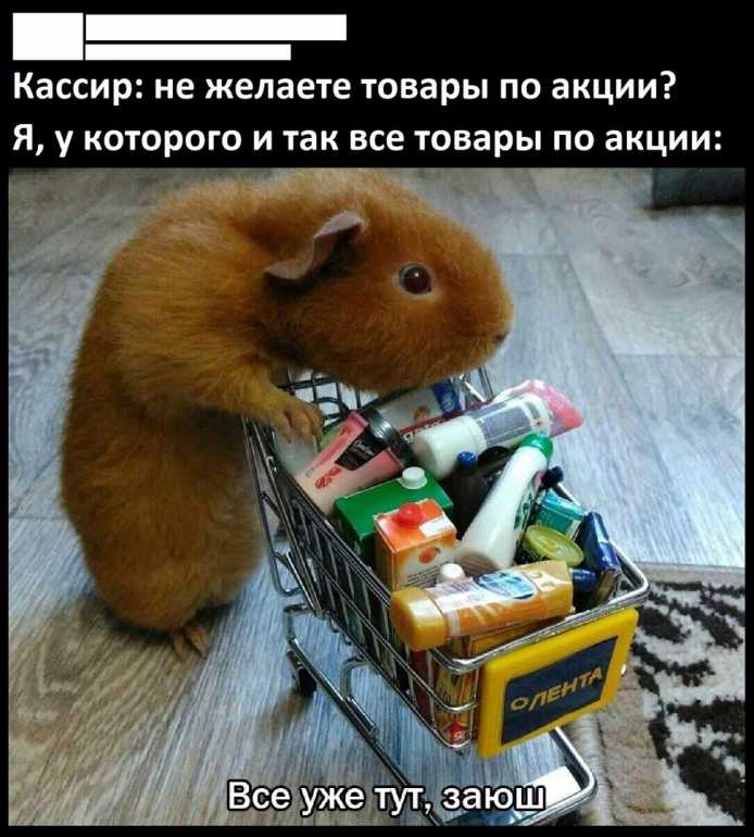 RAShPanTlpQ.jpg.d8bc305e53365c4e0a73cd6da42a1c92.jpg