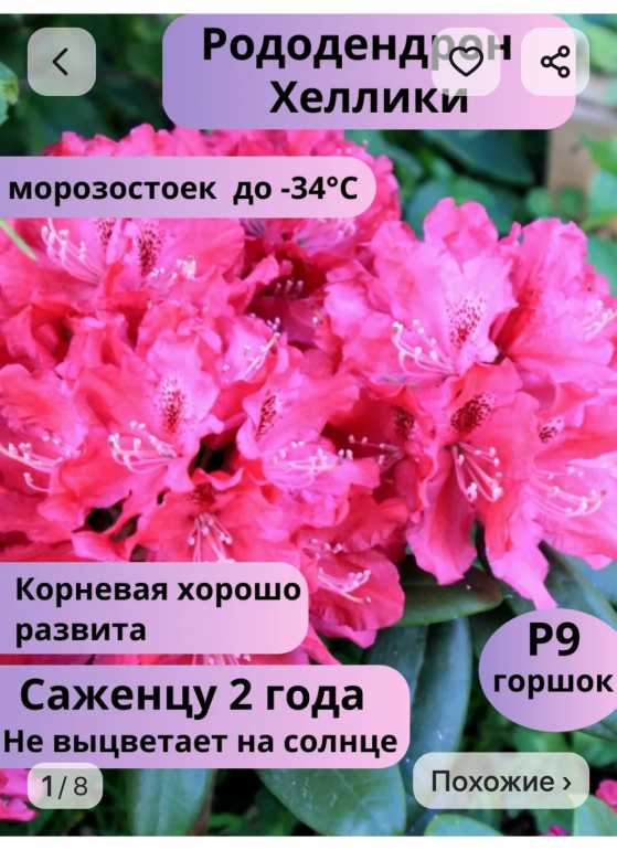 Screenshot_20250315_211708_com.wildberries.ru_edit_184040007581812.jpg.0d59ec8696a59040bba338d7de2832b0.jpg