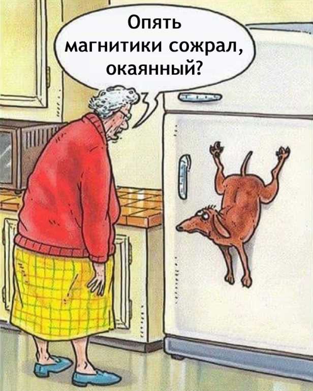 WltxULsDPno5KySZ31wFNBjhNOHI9N044eMRcNAFypOFKpQC8h_wyoA-I_XqFMUGhXg4M7jjbGwOLF8iC_8ZPr91.jpg.9ce1d335ec911bdca75cf5d953cb29bc.jpg