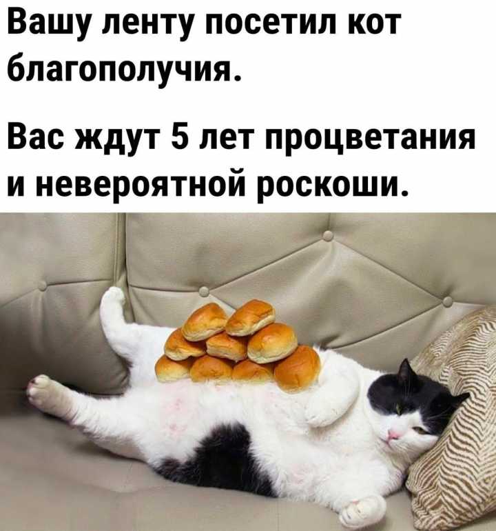 puzo.jpg.25068a4e25edf2ab45abff4373e794cf.jpg