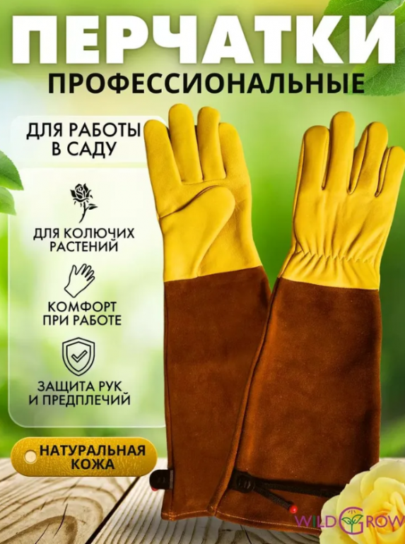image.png.98a1ee835cafdd81260c018f4fe91077.png