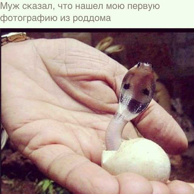 pEoyWYiuhMo.jpg.0e215f8416133fa6fc00ce769f75d02a.jpg