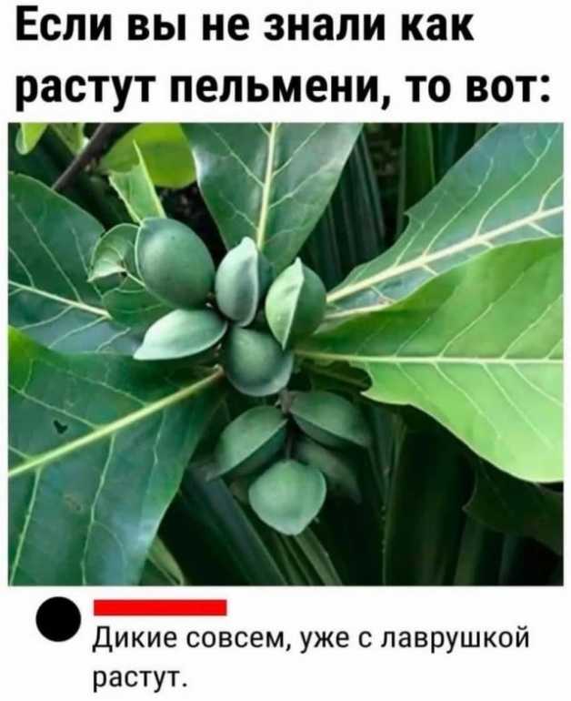 scale_2400.jpeg.fcd7a94bc72d9edce075f70c4847f621.jpeg
