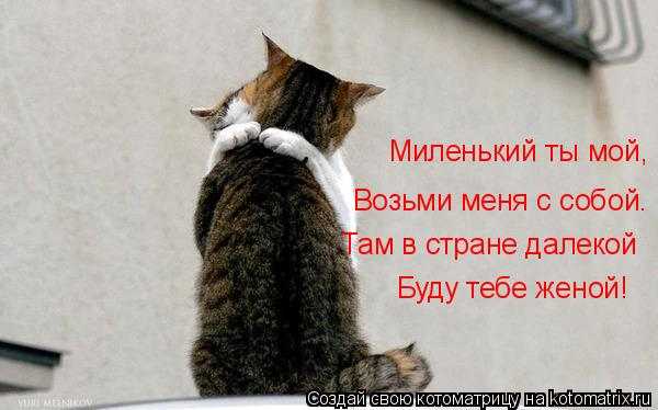 392876.jpg.a889c232166cefbadca12c7ae5fa4f68.jpg