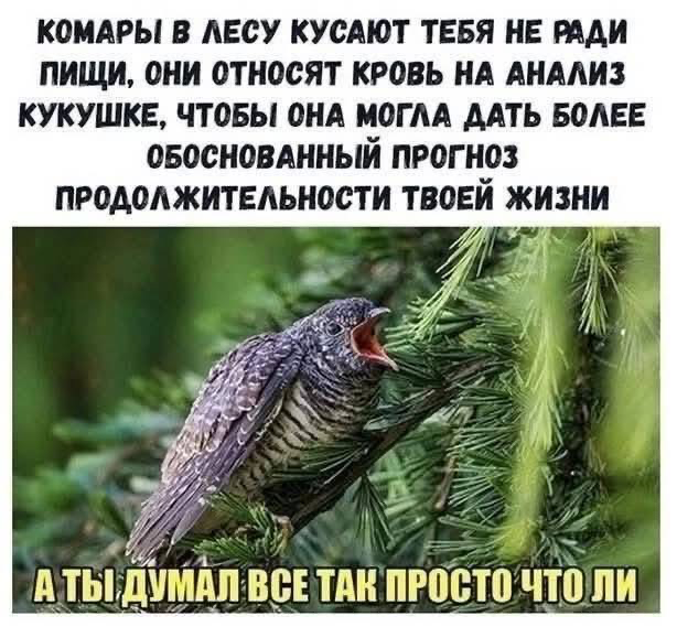 image.png.0e692c4c4cc97303e4ffb9434a67d0d2.png