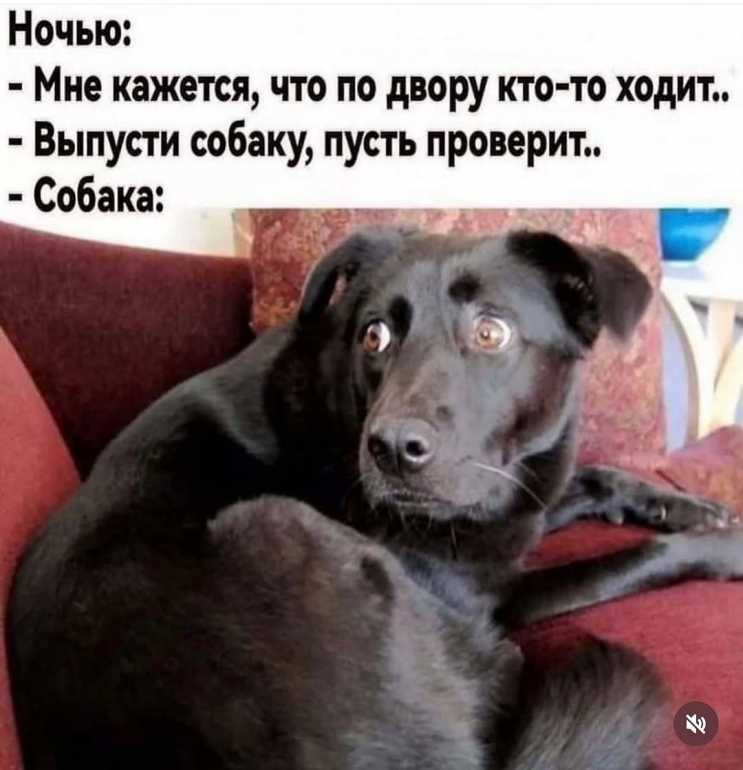 ogkcjm2u_lg.jpg.e02de2a0cc60532a77d89772905f4ee2.jpg