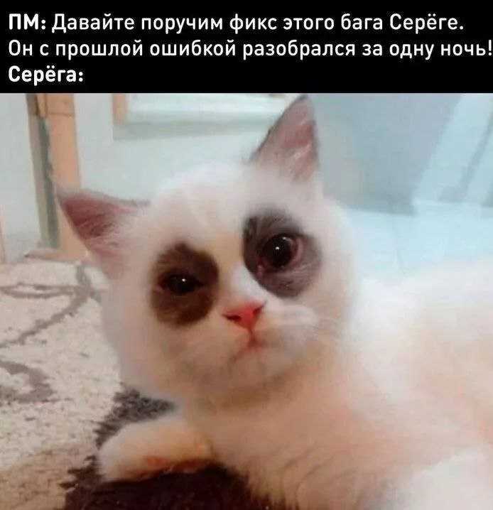 jzyrdezs.jpg.ec88b1c278b05d1ee23746e52041a73b.jpg