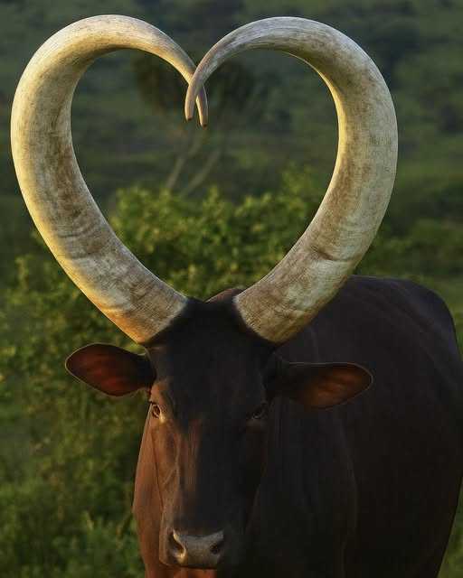 68dd07f456f59_165.jpg.eac213f6d55b8e6e0cf0c736b6db93de.jpg