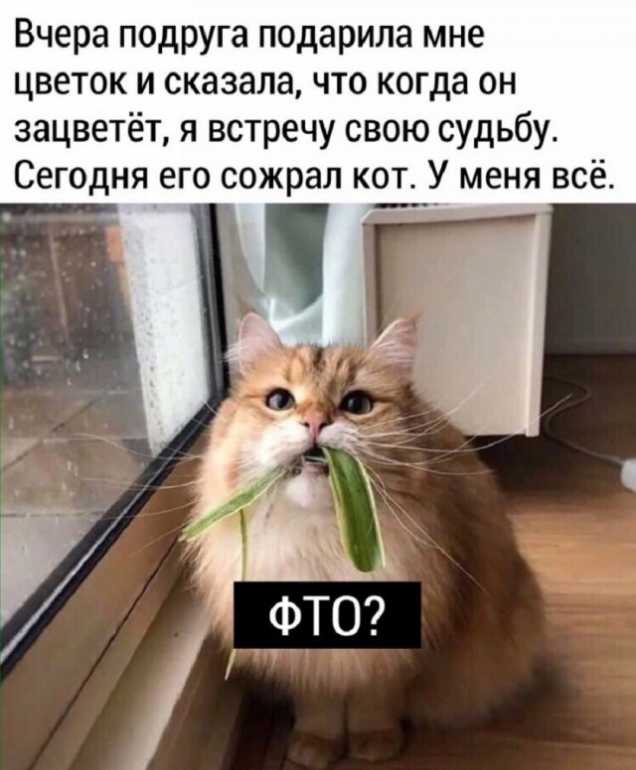 3fm2xl2v.jpg.7e358b3e844bf60a1b9a85ad47a3d40c.jpg