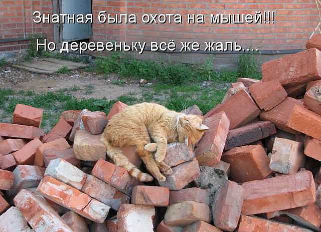 48508db0dac3.jpg.04af5a60ea9be6ba1b071ea489eef285.jpg