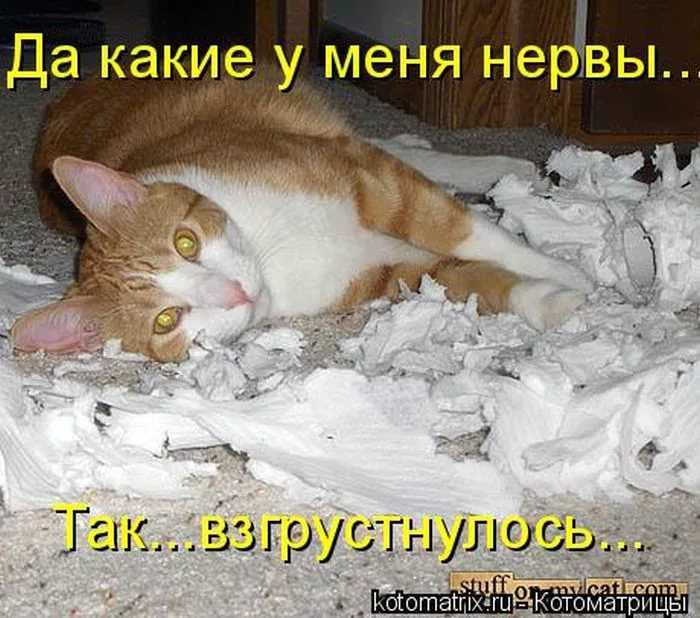 694be97f06af7_1(2).jpg.e742ef35c4168e267992429ca0523a33.jpg
