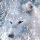 Полярная лиса