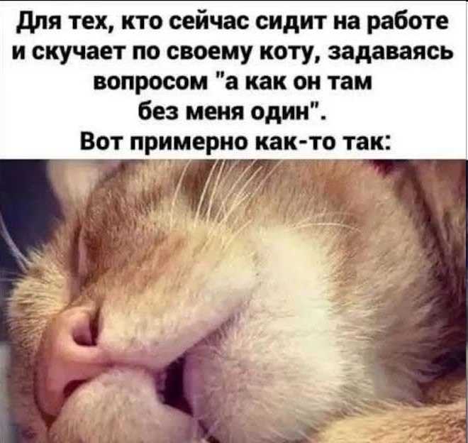 lmnrdydf.jpg.a6669c5cd4110bcae3ddccbdc0a60865.jpg