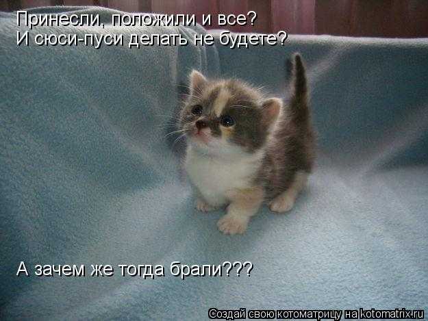 1136465.jpg.19083fd251c879978b31d8ec9a669b61.jpg