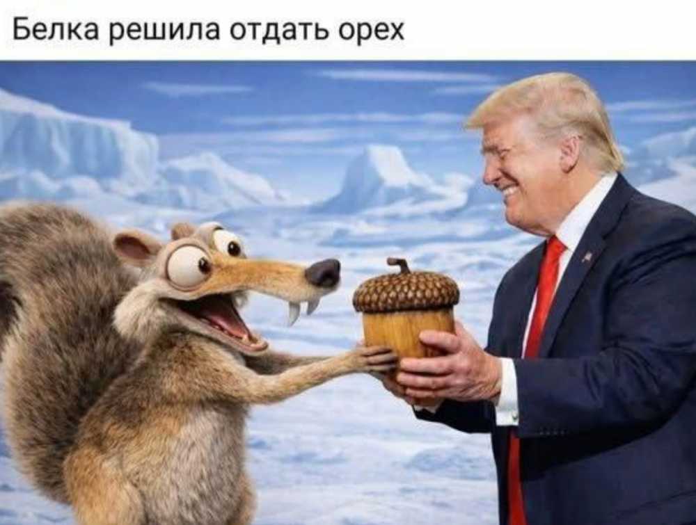 Nobel.jpg.f6c65557fc4196dfc6fdd0e9ce2a8a48.jpg