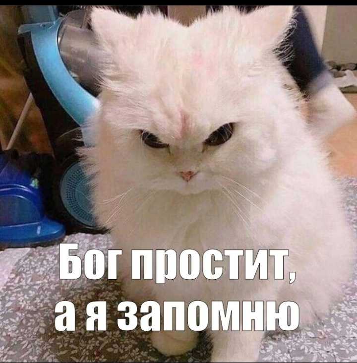 xU6i49q38JIUNTGW9UQB6i6P8JGEVFWE4DUsiP_gLP6j3t43SZb1CUPjWfibxToY_jX_txhgvdA07brlAlIVsbRU.jpg.46443e2761eca40fb96345ba498c41d1.jpg