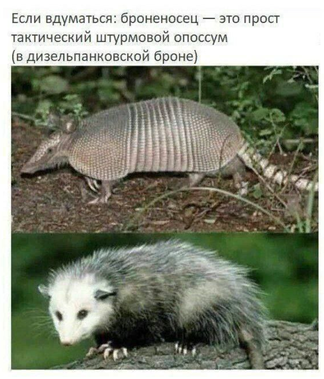 image.png.fe1f0e116ff4bc255470e28714c2c5cd.png