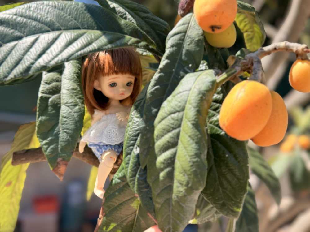 IMG_1975.jpeg.8ccef9c1decc6f69a8580b659dd1c166.jpeg