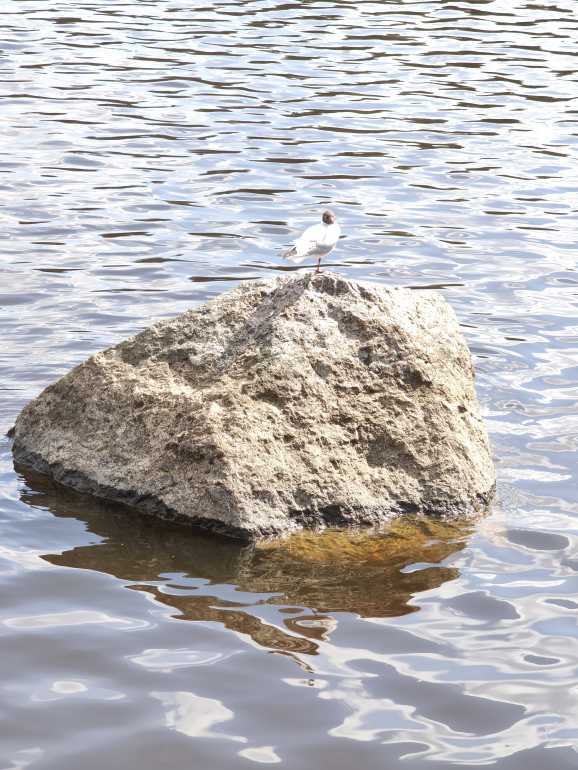 MVIMG_20260513_121516.jpg.dc0cb1e2686f02436c5edfbed837a81d.jpg