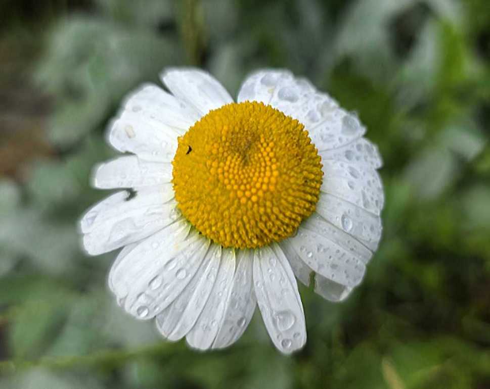 1781532663822.jpg