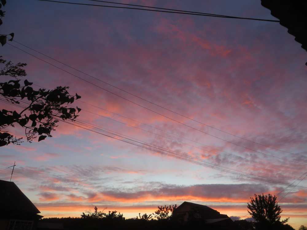 IMG_3168.JPG.323d1fae5d52cbfabecd4740e8afb994.JPG