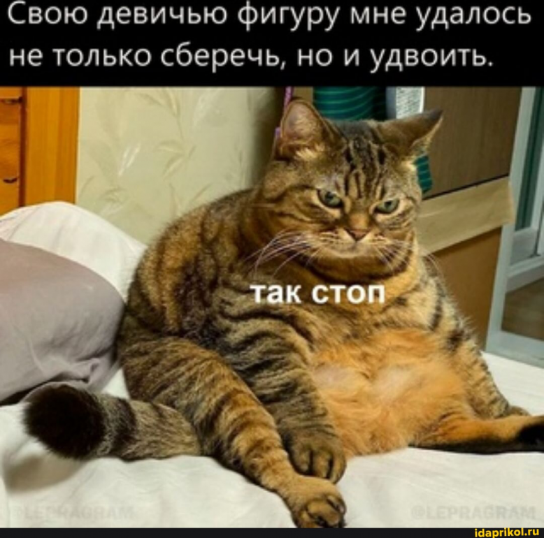 image.png.48f7ebaba84115ffba32696cfac66e87.png