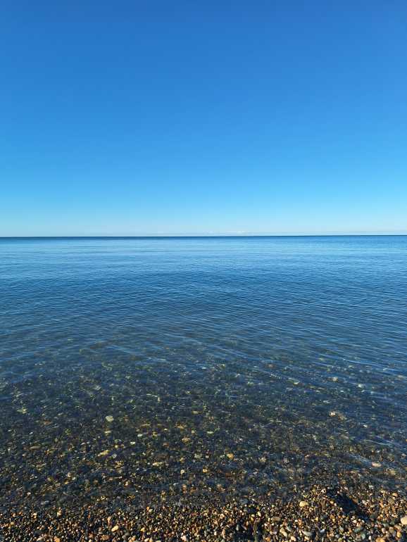 20260910_080602.jpg