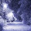 Зимняя ночь